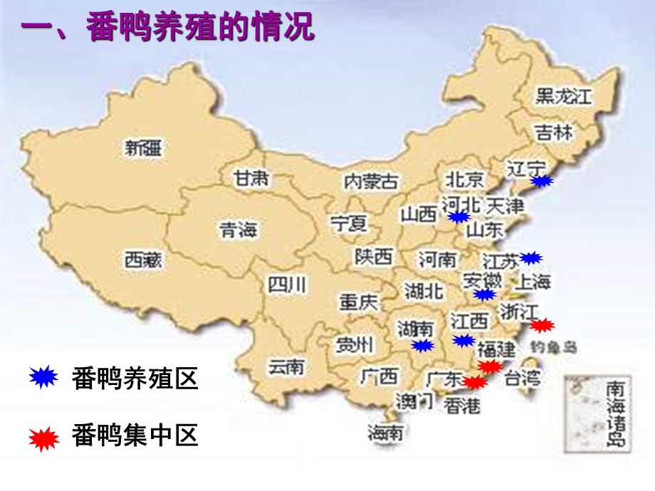 番鸭疾病防治技术要点.ppt_第3页