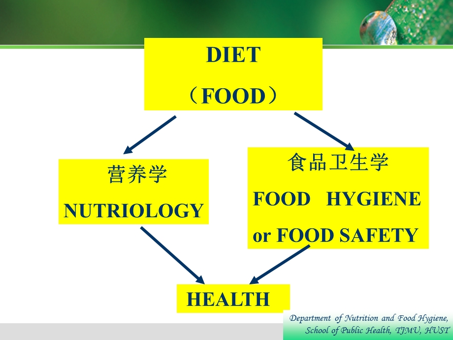 食品安全与食源性疾病.ppt_第2页