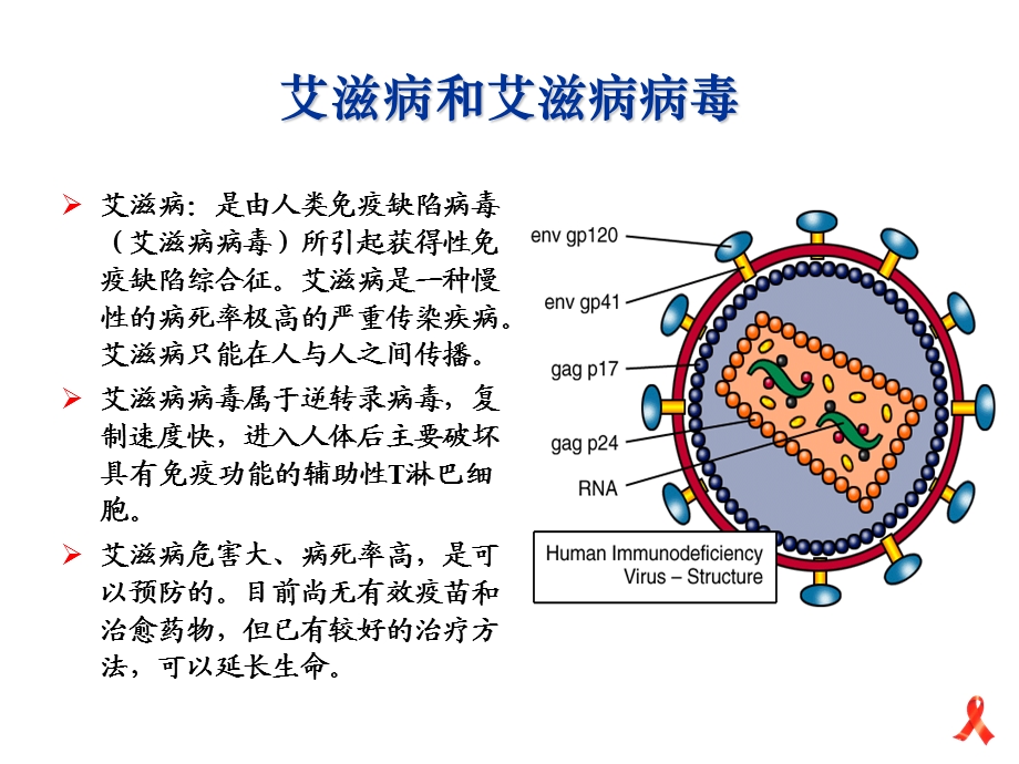 艾滋病预防.ppt_第3页