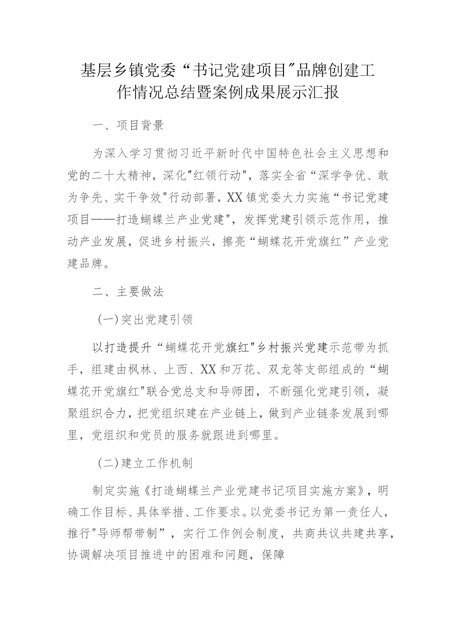 基层乡镇党委“书记党建项目”品牌创建工作情况总结暨案例成果展示汇报.docx_第1页