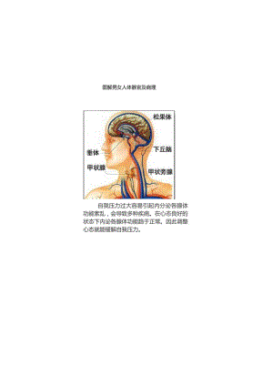 (新)图解男女人体器官及病理详解.docx