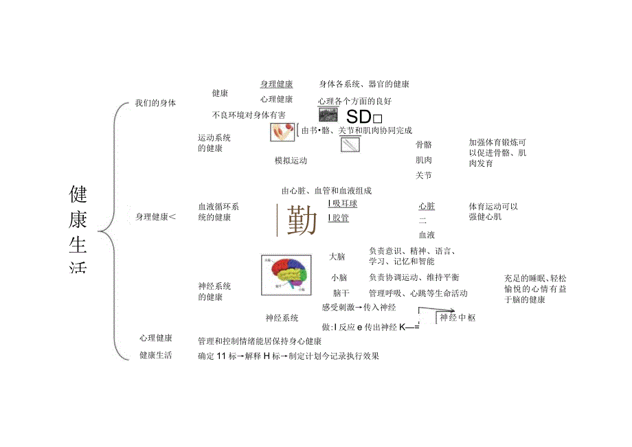 2021新教科版五年级上册科学知识点思维导图.docx_第1页