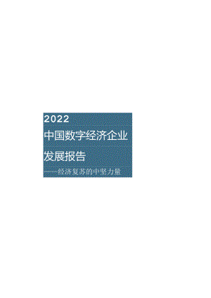 2022数字经济企业发展报告.docx