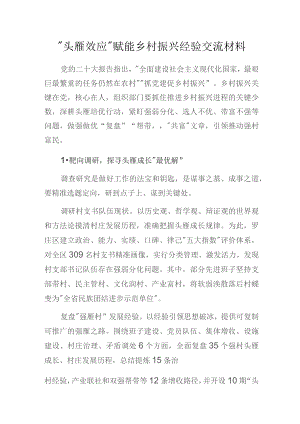 “头雁效应”赋能乡村振兴经验交流材料.docx