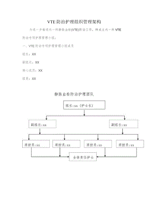 VTE防治护理组织管理架构.docx