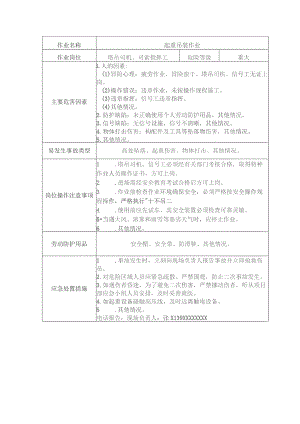 塔吊司机、司索指挥工安全操作规程清单.docx