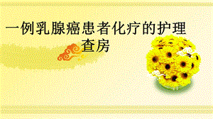 一例乳腺癌患者化疗的护理查房.ppt.ppt