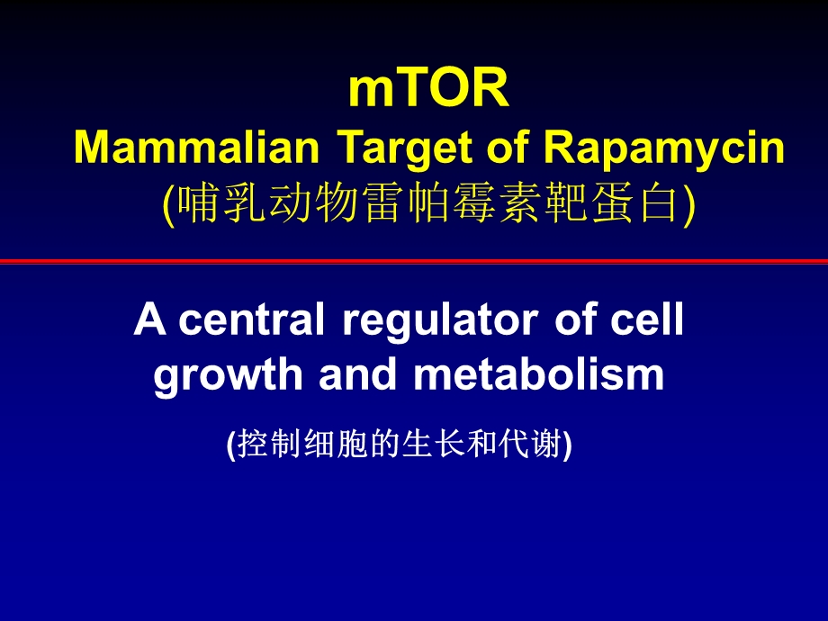 mTOR抑制剂在癌症治疗中的应用.ppt_第2页