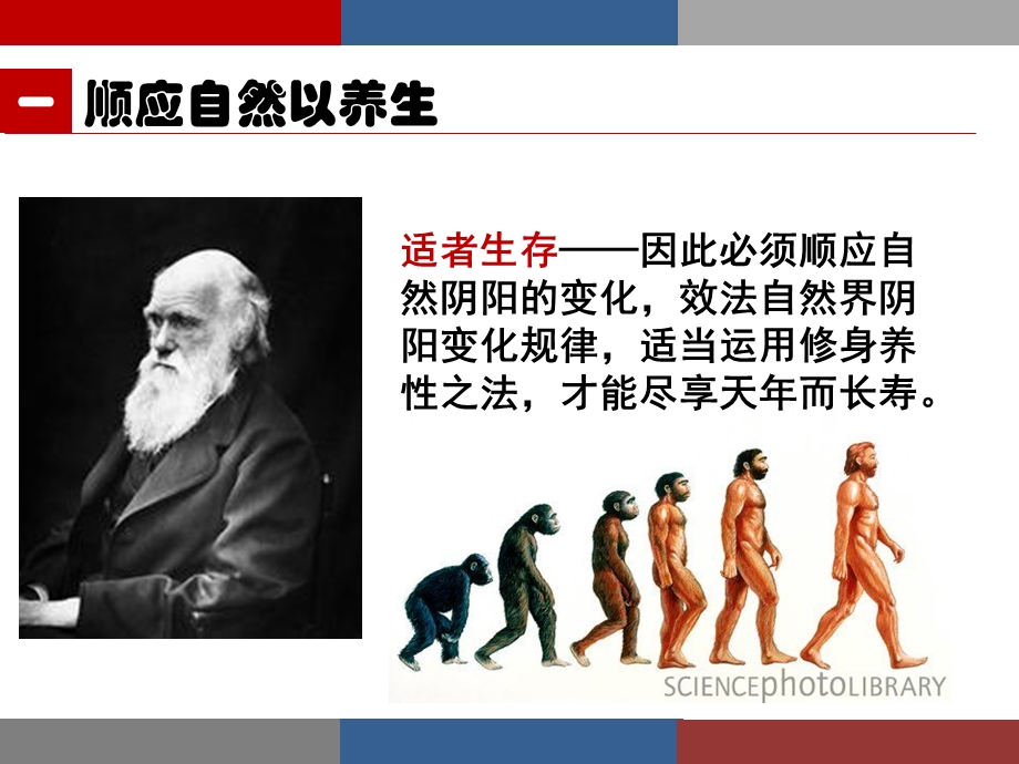 老养生PPT编辑.ppt_第3页