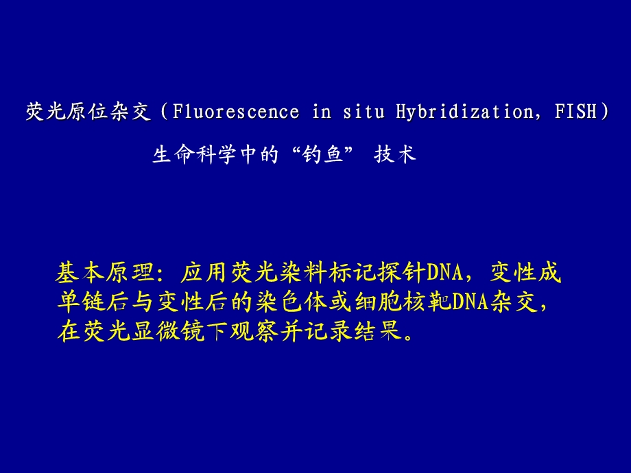 FISH技术临床应用.ppt_第2页