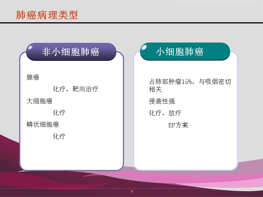 晚期肺癌常用化疗方案介绍(ppt).ppt_第2页