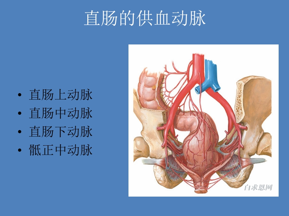 直肠癌术前分期.ppt_第3页