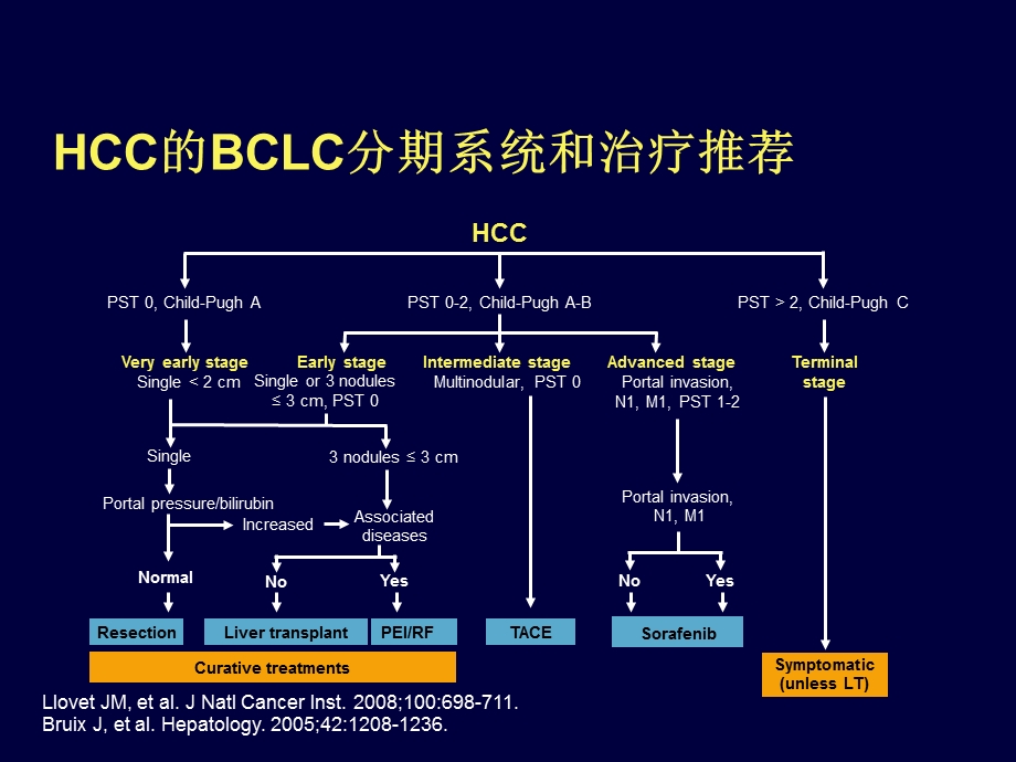 肝癌综合治疗.ppt_第3页