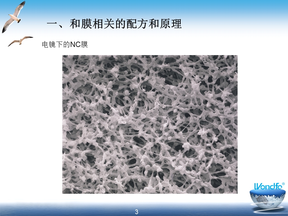 胶体金生产工艺配方原则.ppt_第3页