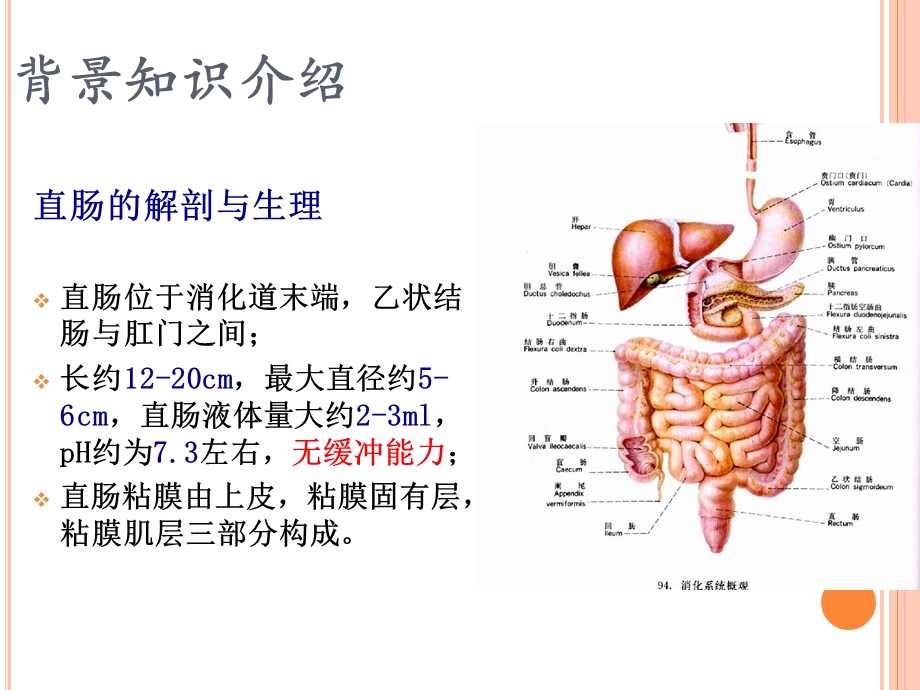 直肠给药系统的介绍.ppt.ppt_第3页