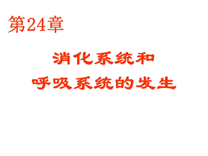 24消化系统和呼吸系统的发生.ppt