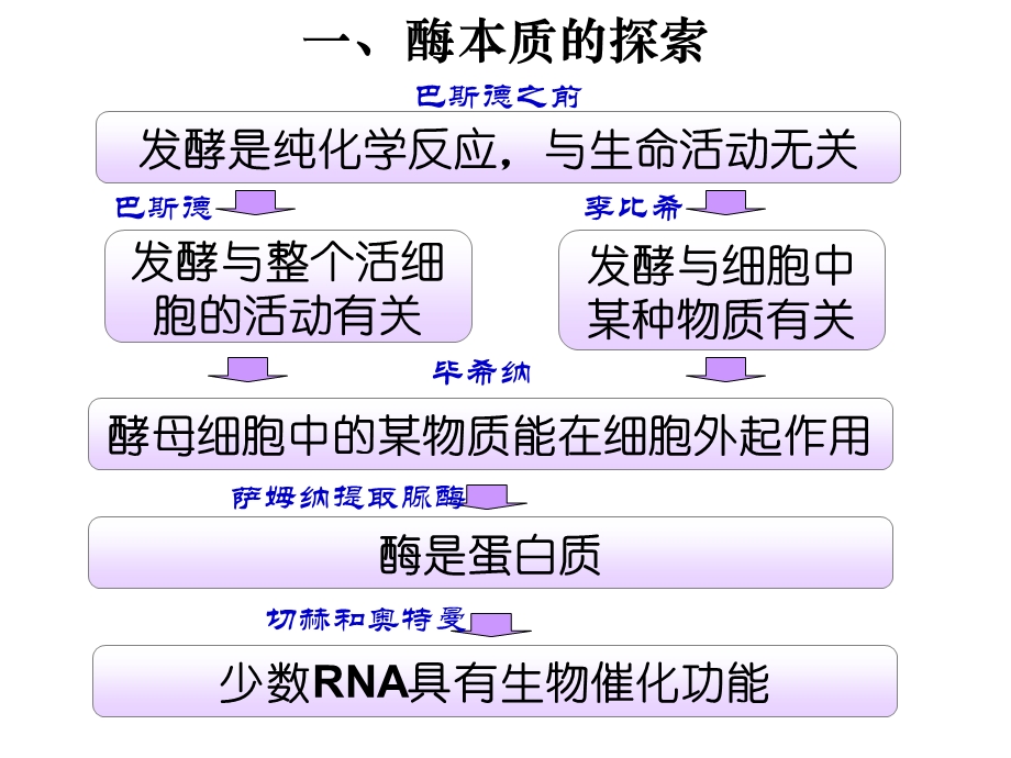 第5章第1讲降低反应活化能的酶第2讲ATP.ppt_第3页