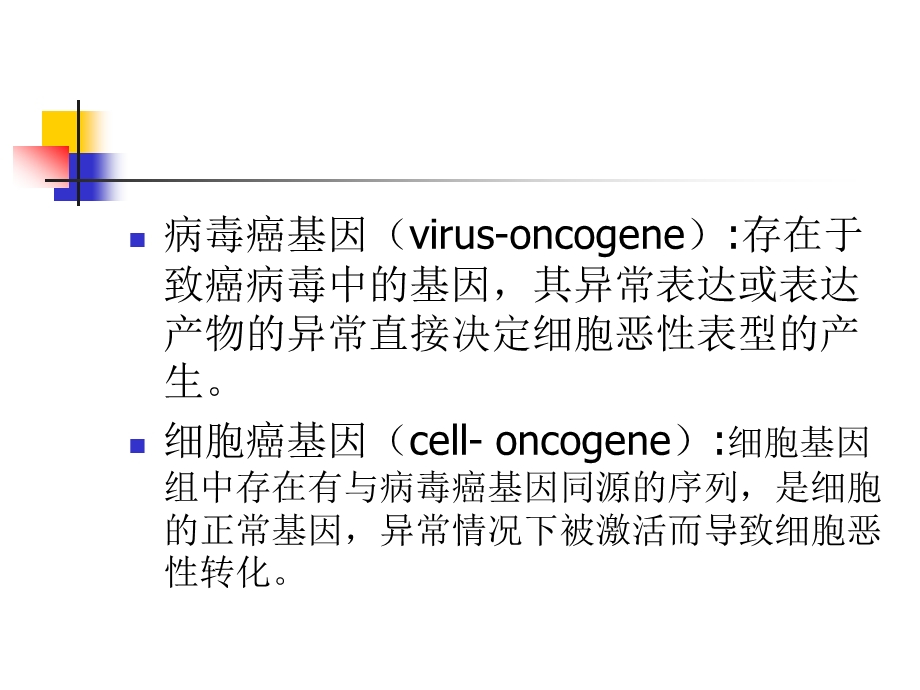 分子生物讲义：第六章 癌基因与抑癌基因.ppt_第3页