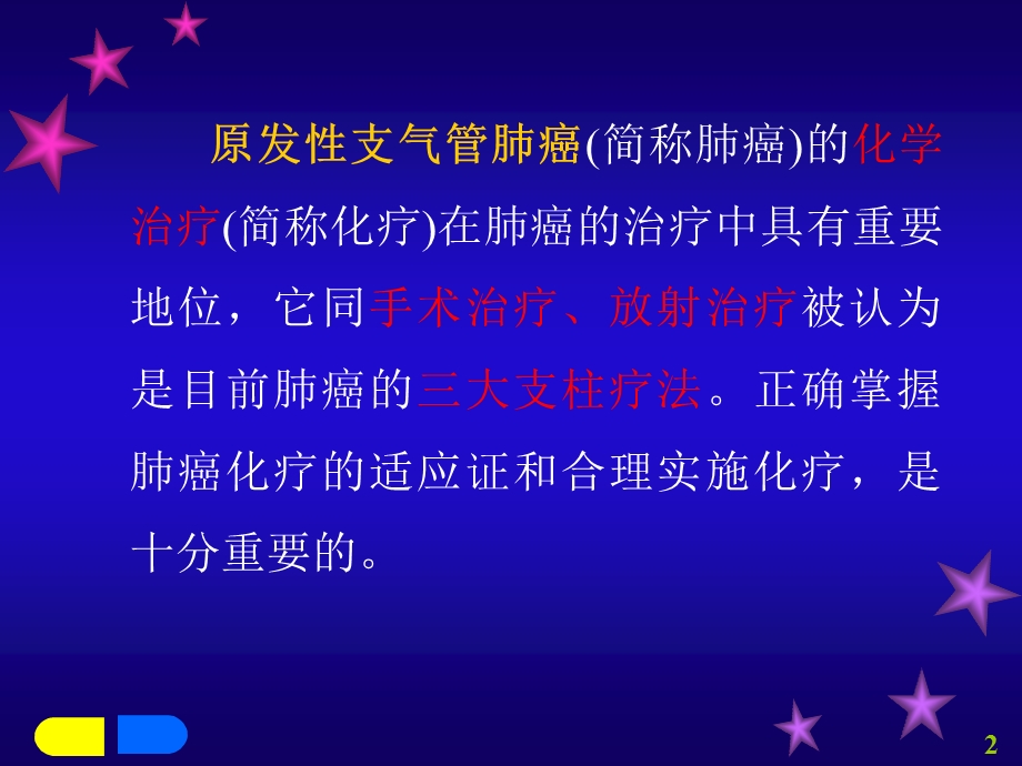 肺癌化疗.ppt.ppt_第2页