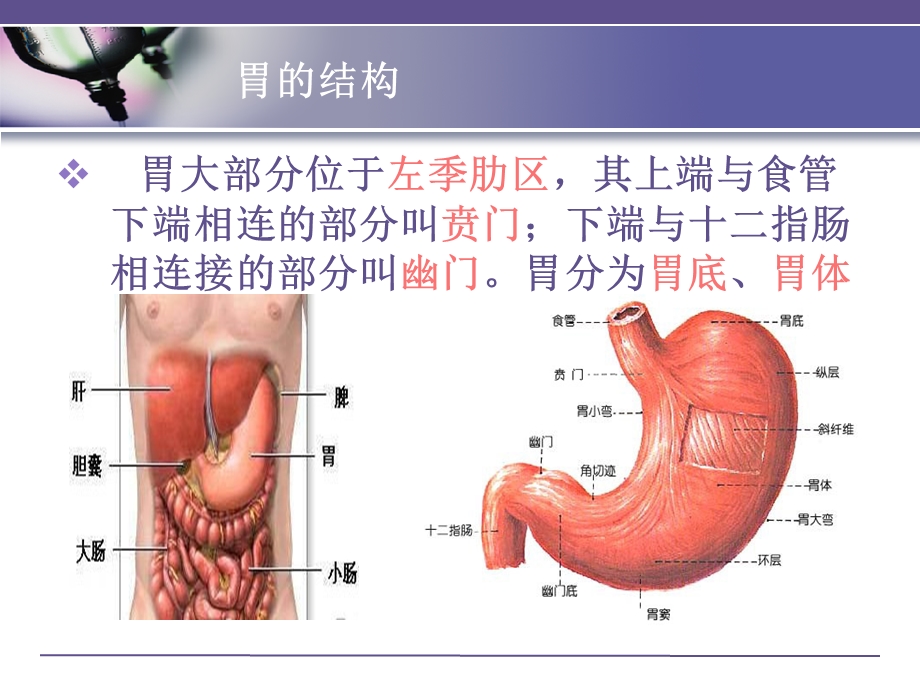 胃癌术后胃肠营养护理.ppt_第2页