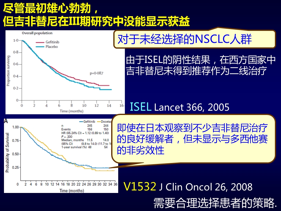 EGFR基因突变状态指导下的NSCLC治疗.ppt_第2页