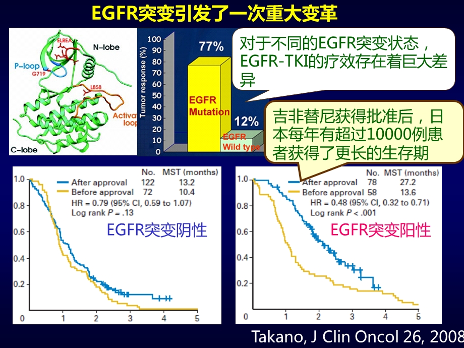 EGFR基因突变状态指导下的NSCLC治疗.ppt_第3页