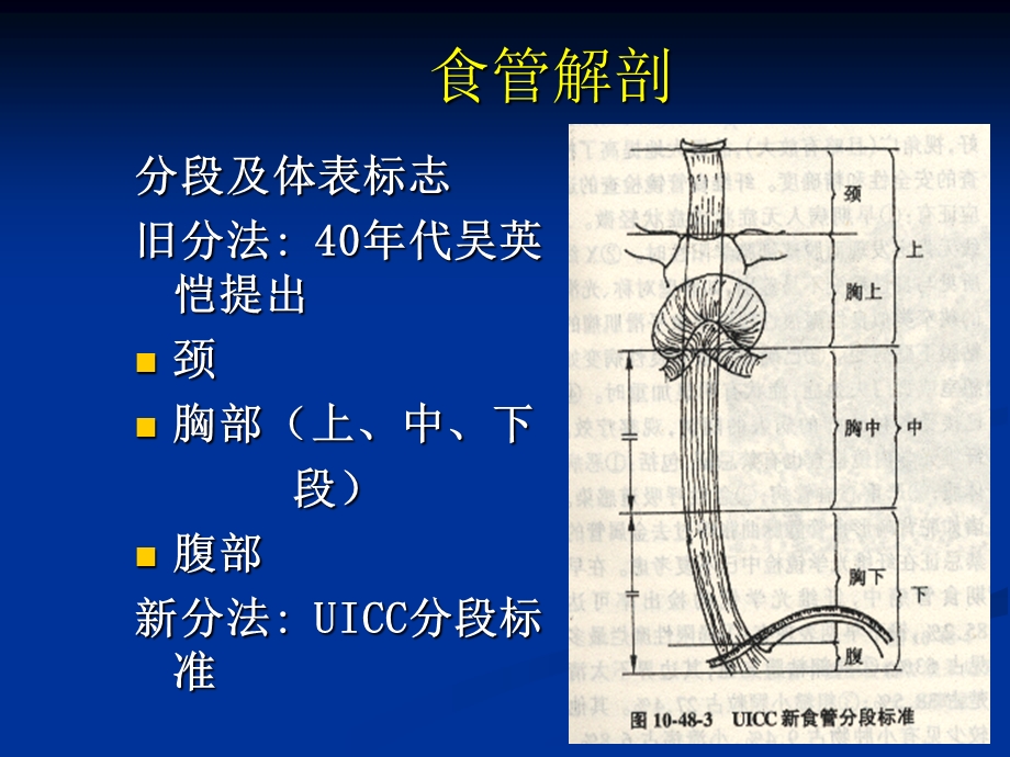 食管癌放疗患者护理.ppt_第2页