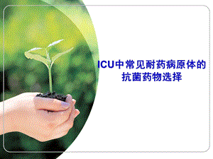 ICU中常见病原体的抗菌药物选择.ppt