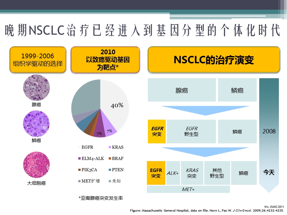 非小细胞肺癌脑转移的综合治疗.ppt_第3页