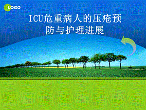 ICU危重病人压疮的预防护理新进展.ppt