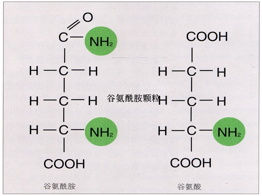 谷氨酰胺在肿瘤科的应用.ppt_第3页