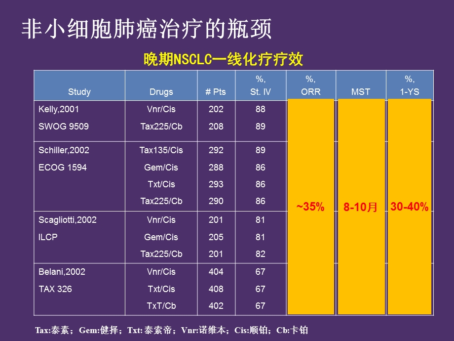 非小细胞肺癌治疗展望.ppt_第2页