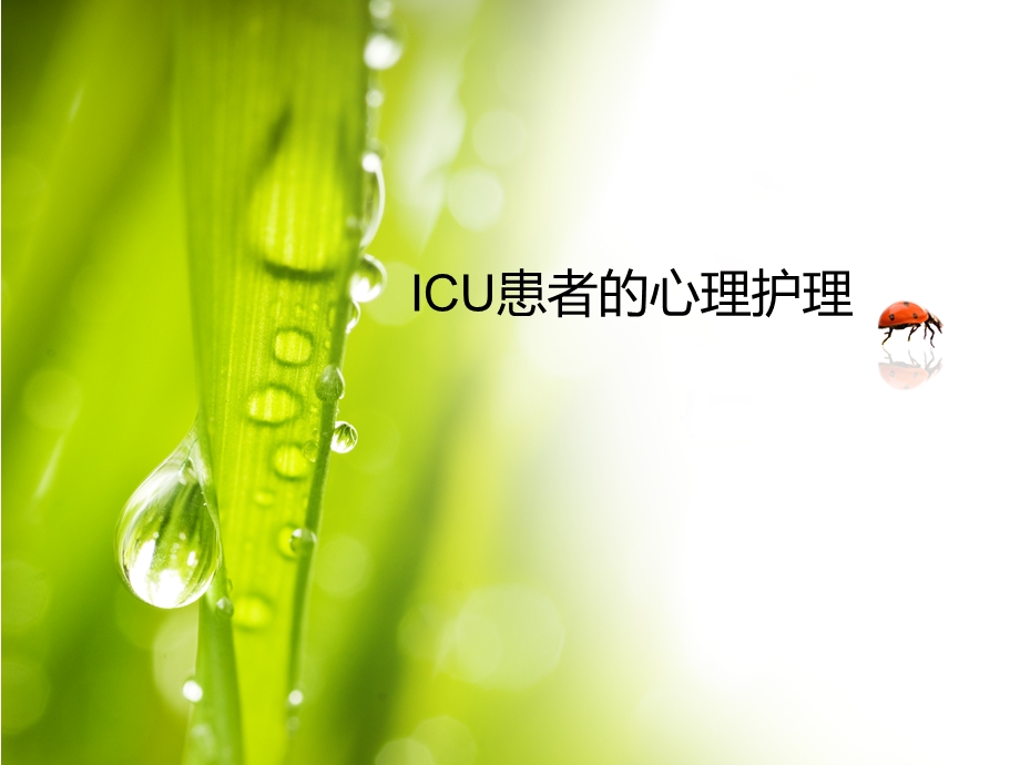 ICU患者的心理护理.ppt.ppt_第1页