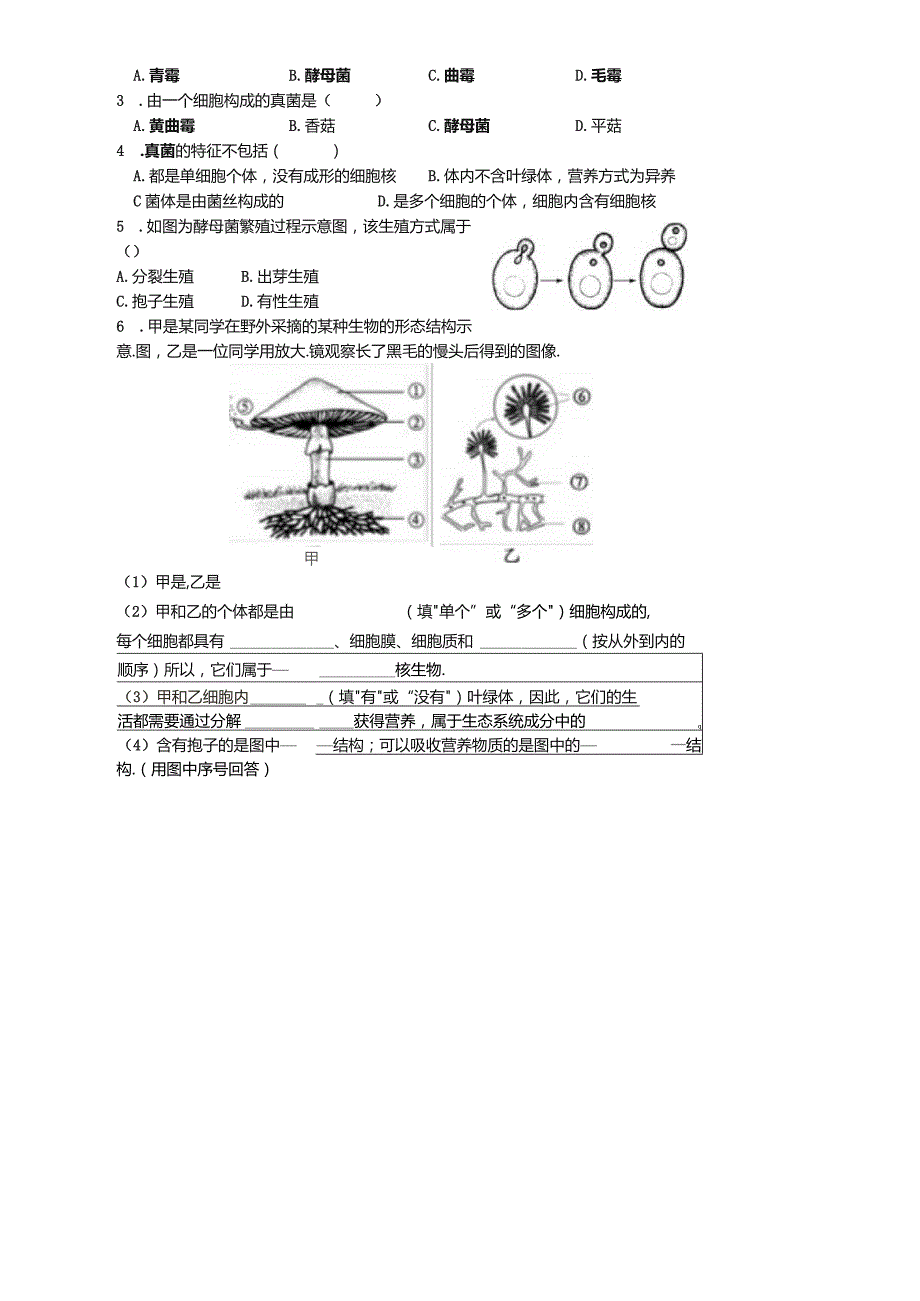 第五单元第四章第三节真菌泸州市第十五中学校陈秋容.docx_第3页