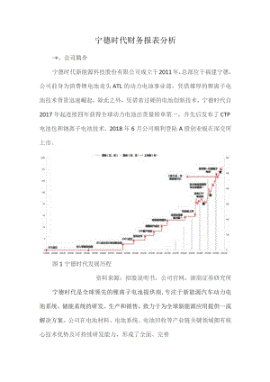 宁德时代财务报表分析.docx