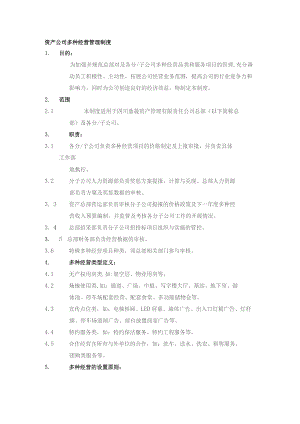 资产公司多种经营管理制度.docx