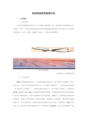 东航物流财务报表分析.docx