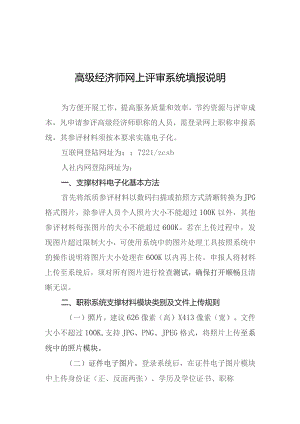 高级经济师网上评审系统填报说明.docx