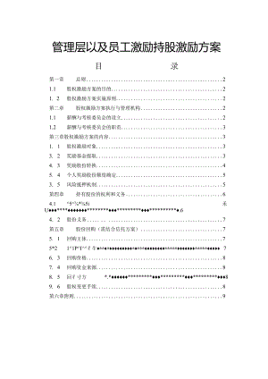 管理层以及员工激励持股激励方案.docx