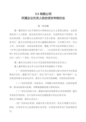 国有企业所属企业负责人综合绩效考核办法.docx