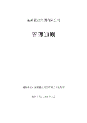 某某置业集团有限公司管理通则.docx