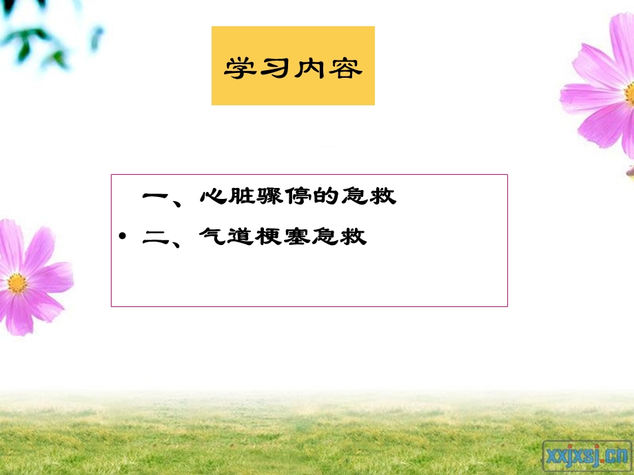 家庭急救.ppt.ppt_第2页