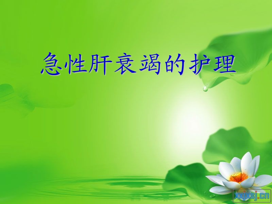 急性肝衰竭的护理精要.ppt_第1页