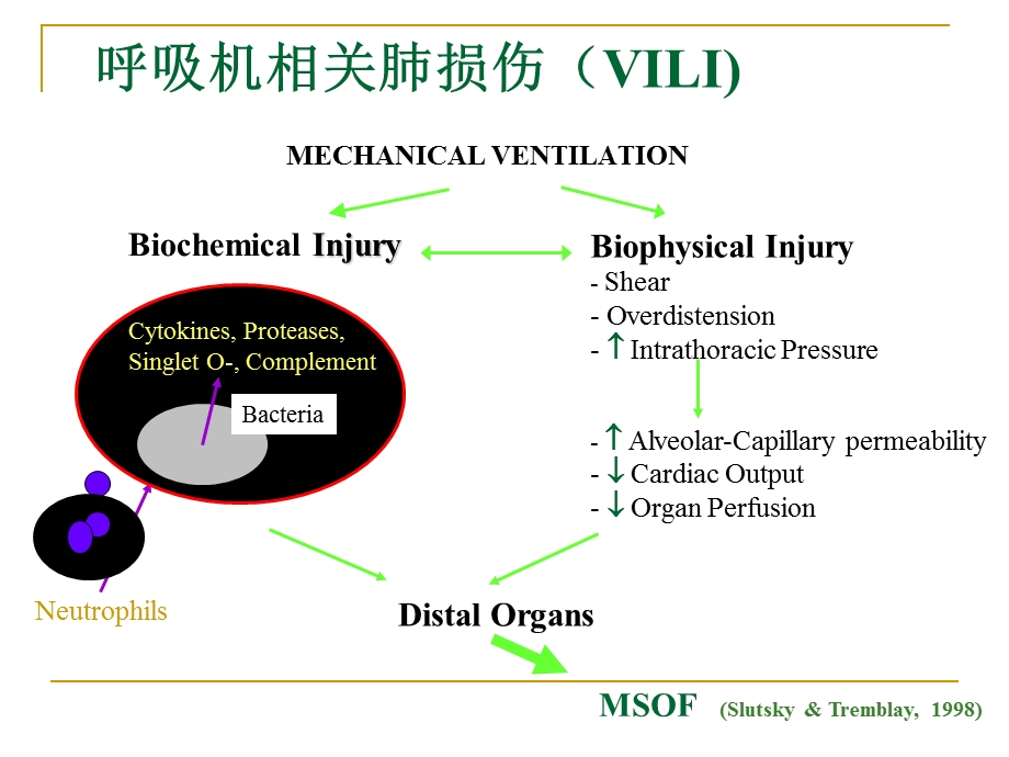 肺保护性通气策略.ppt_第3页