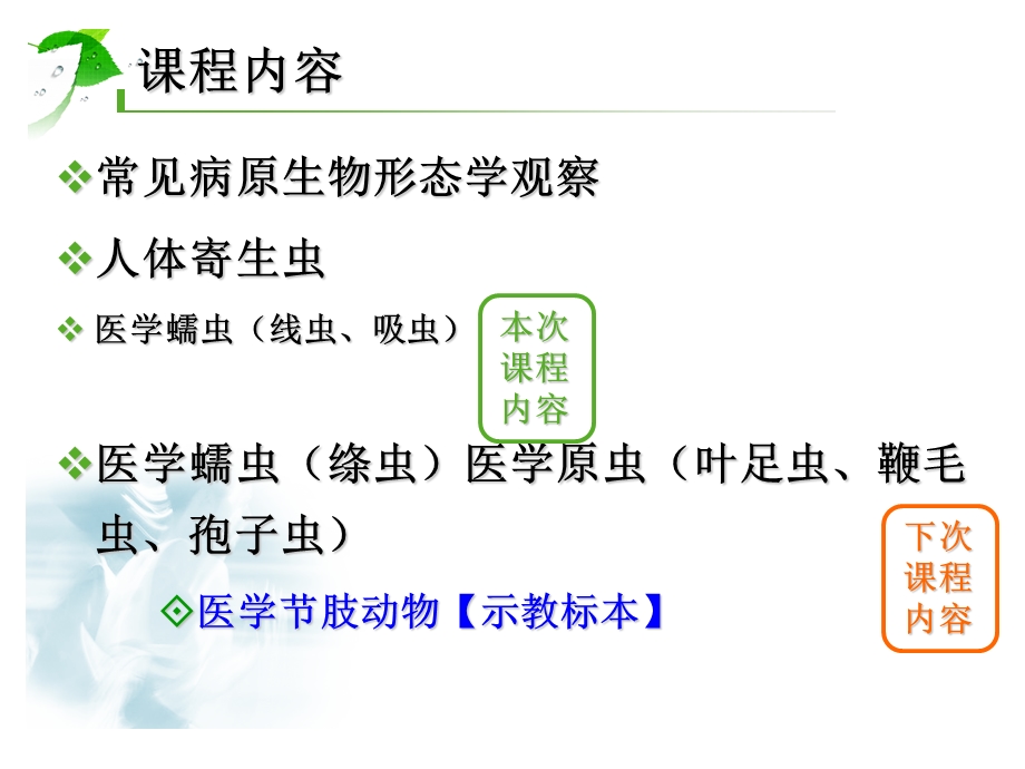 病原学形态观察.寄生虫.ppt_第2页