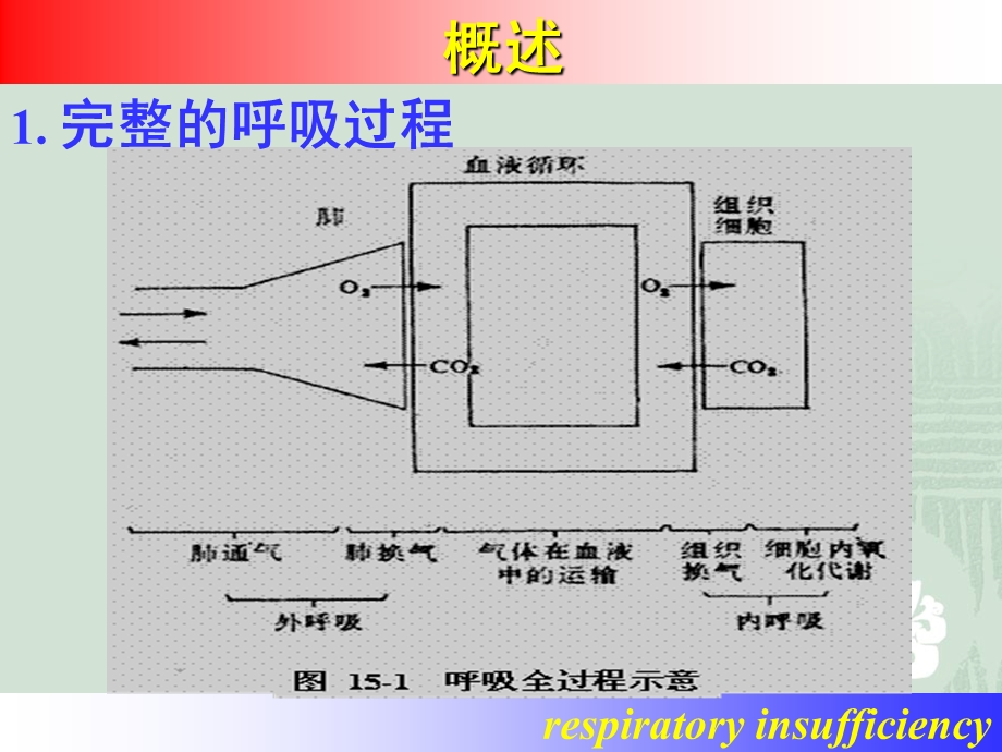 呼吸功能不全医学幻灯片.ppt_第2页