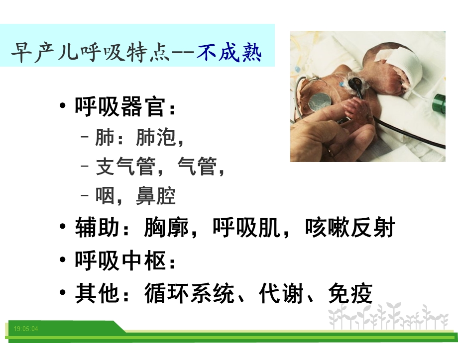 医院早产儿呼吸道管理3.ppt_第2页