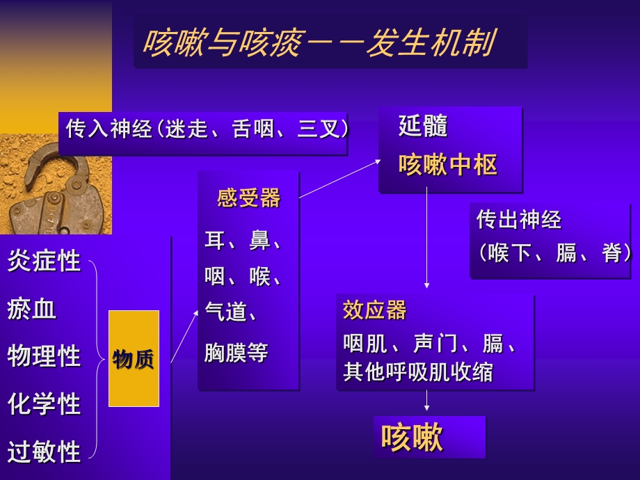 中国咳嗽诊治指南.ppt_第3页