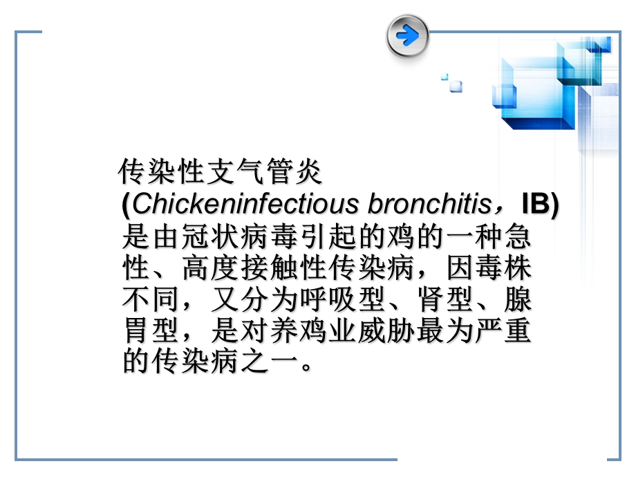 传染性支气管炎预防.ppt_第3页