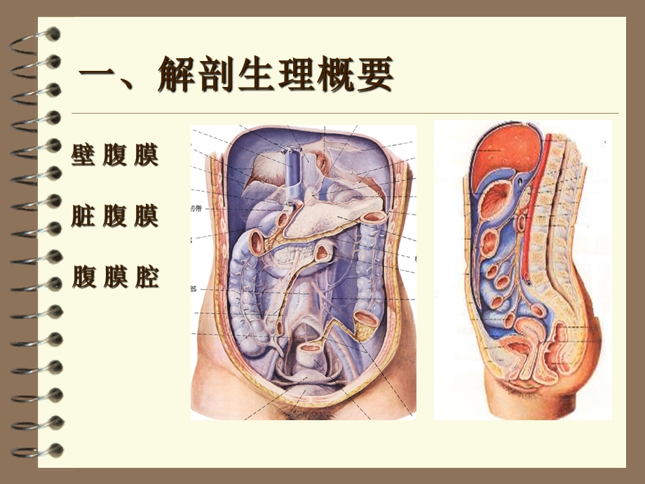 化脓性腹膜炎病人护理.ppt_第3页